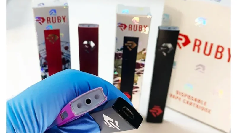 How to charge a ruby disposable?